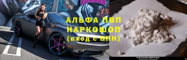 индика Белокуриха
