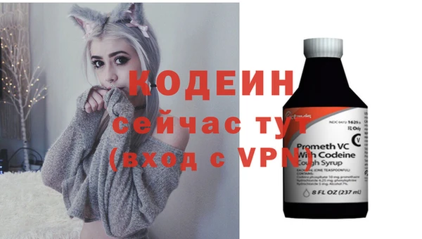 индика Белокуриха