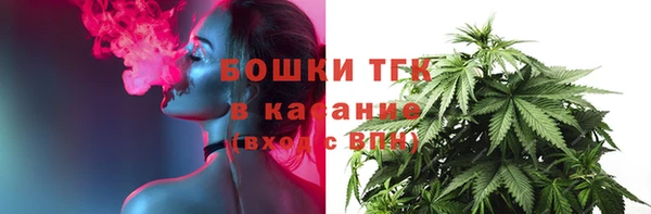 индика Белокуриха