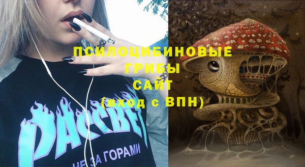 индика Белокуриха