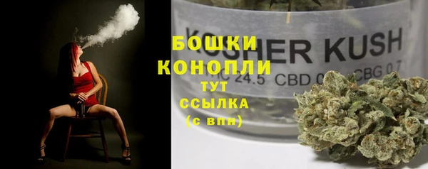 индика Белокуриха