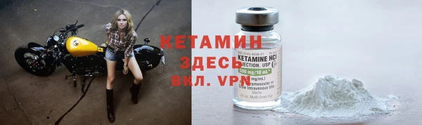 индика Белокуриха