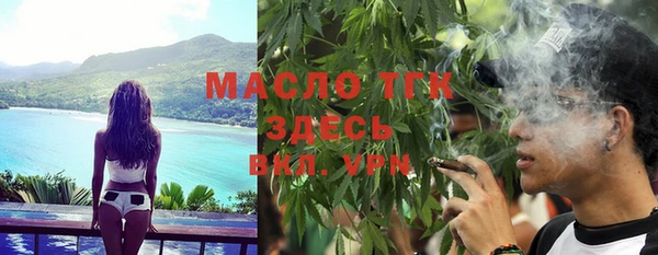 индика Белокуриха